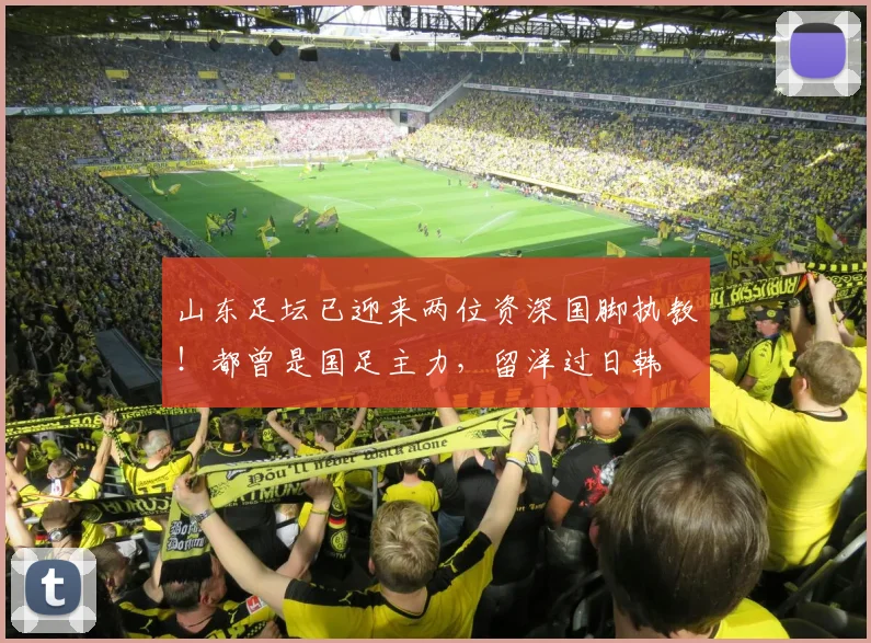 山东足坛已迎来两位资深国脚执教!都曾是国足主力,留洋过日韩