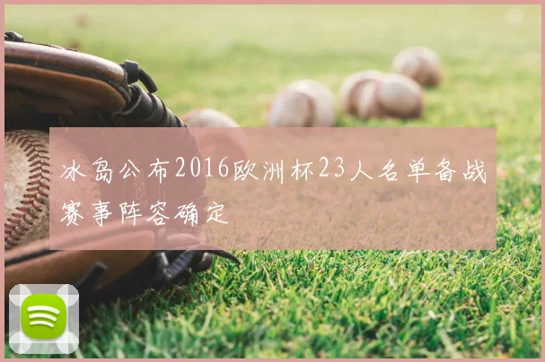 冰岛公布2016欧洲杯23人名单备战赛事阵容确定