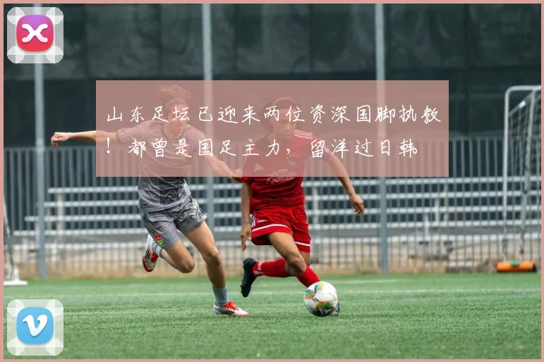 山东足坛已迎来两位资深国脚执教!都曾是国足主力,留洋过日韩