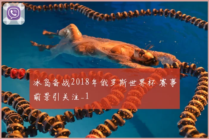冰岛备战2018年俄罗斯世界杯 赛事前景引关注_1